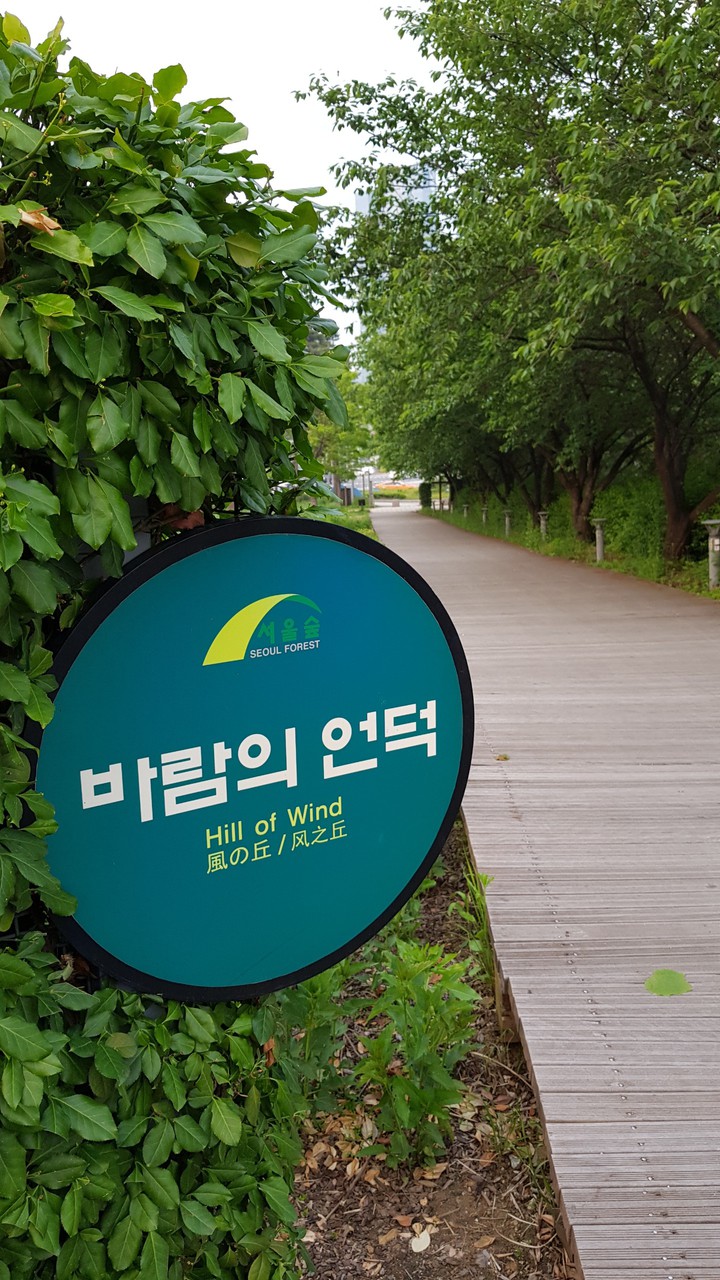 바람의언덕