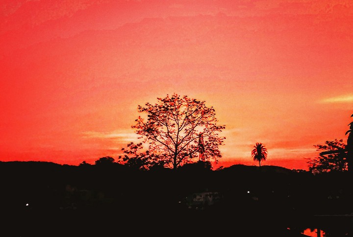 nature