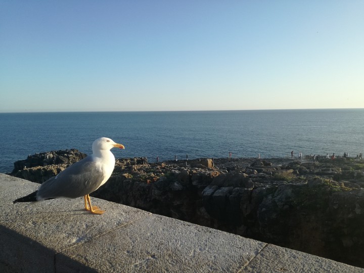 cascais