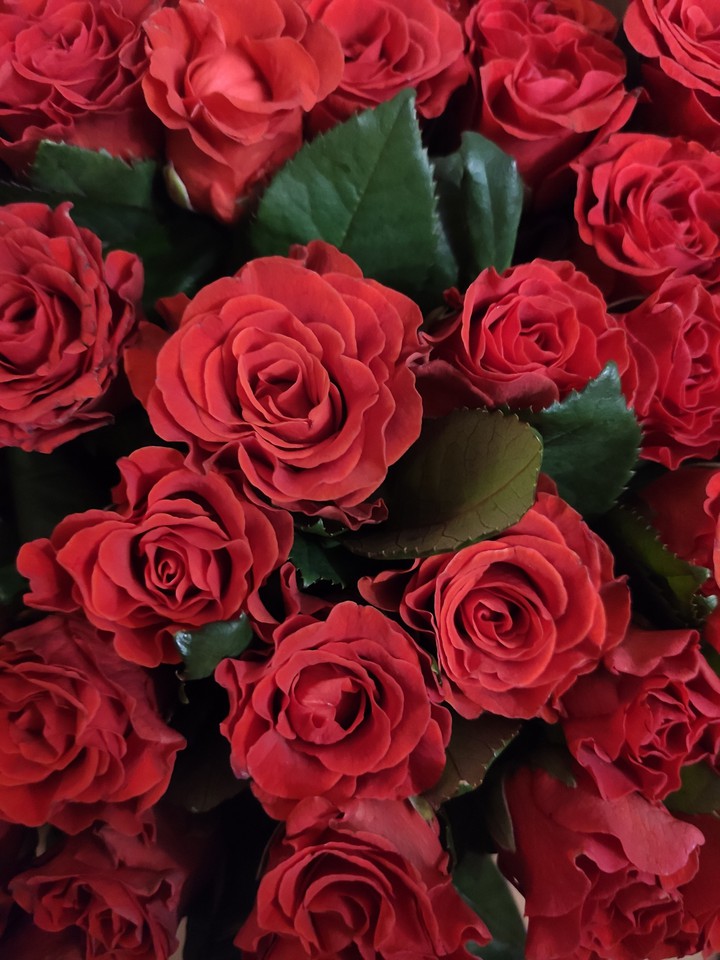 flowers