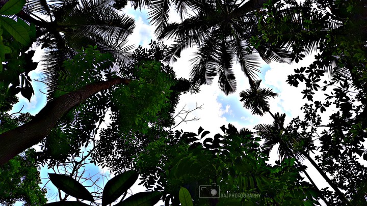 mobile click