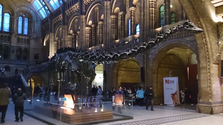 Dippy
