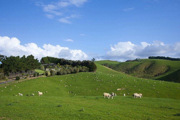 Paisagem