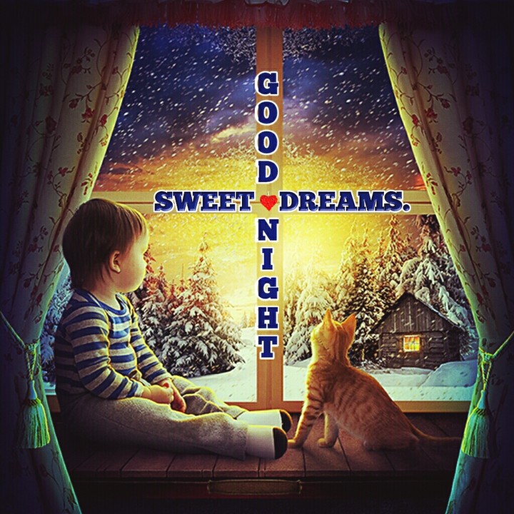 Good Night