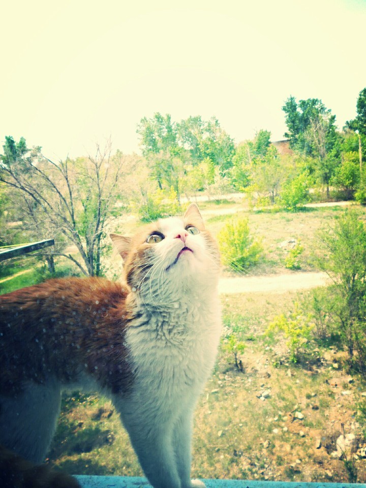 My Lovely Boy