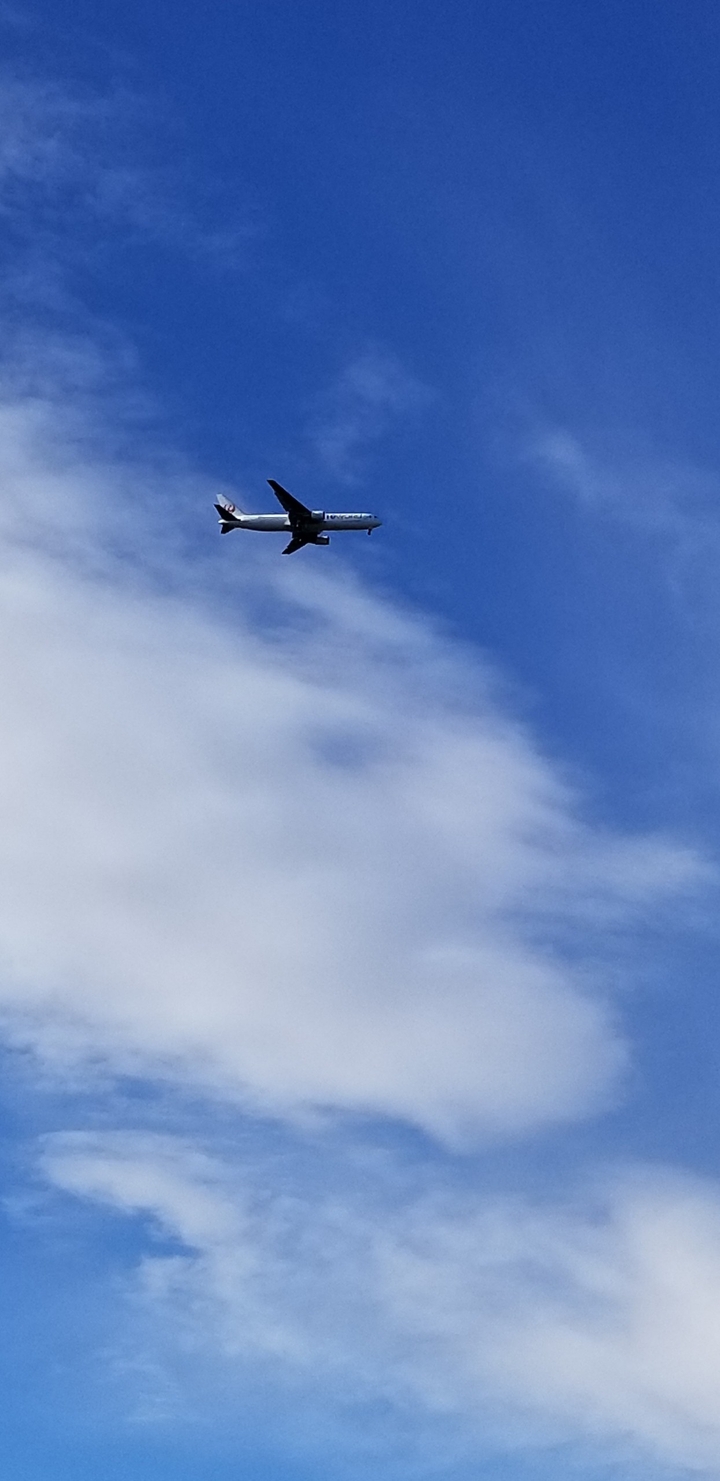 飛行機と青空
