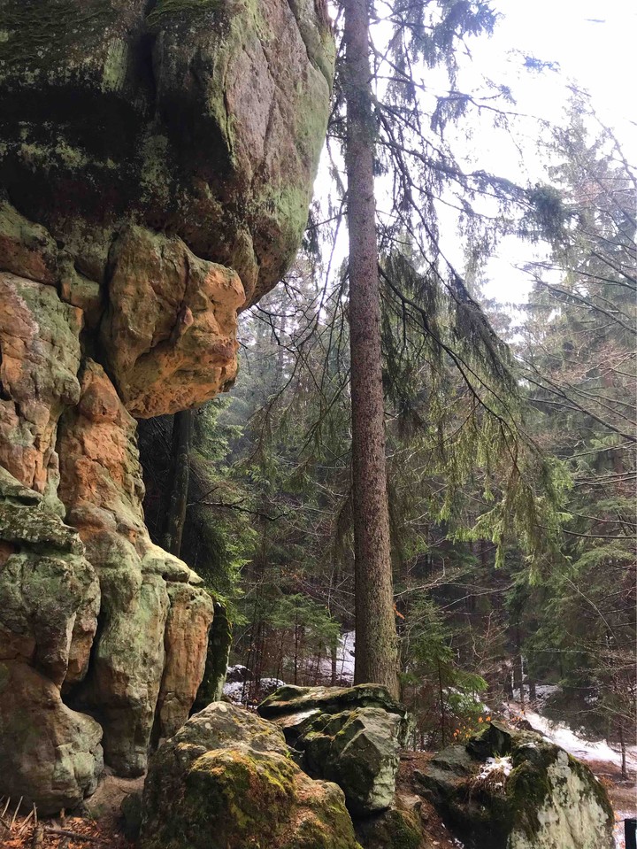 Mountains