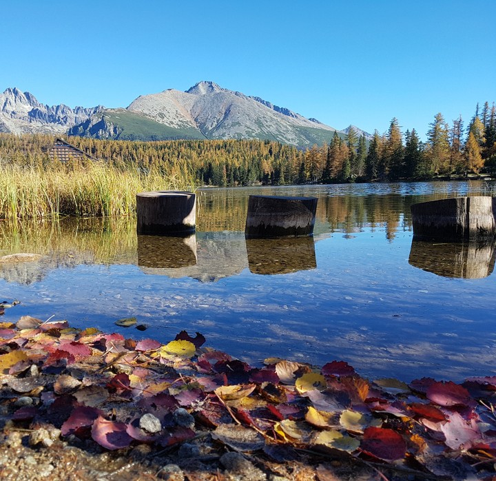 nature, High Tatras, Štrbské pleso