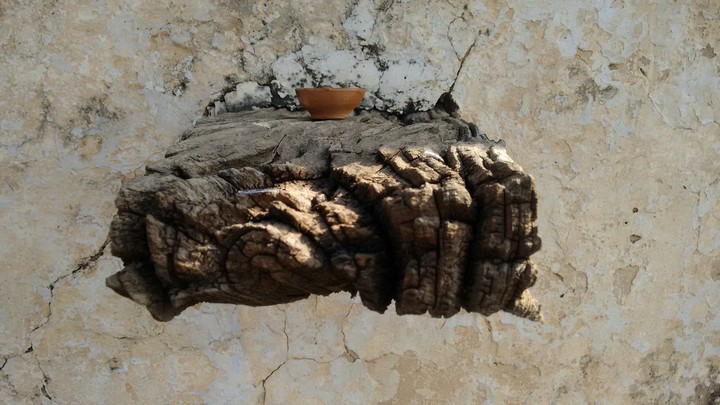 wood