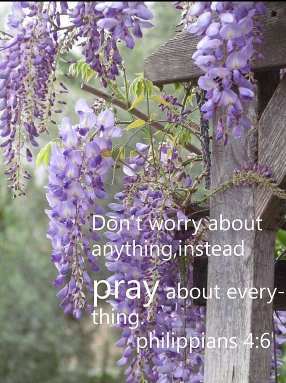 Don't worry!