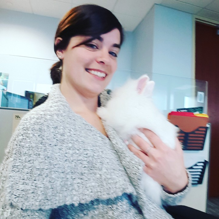 bunny time
