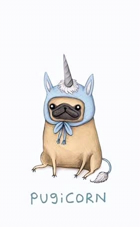 pug