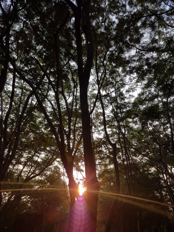 Sunrise