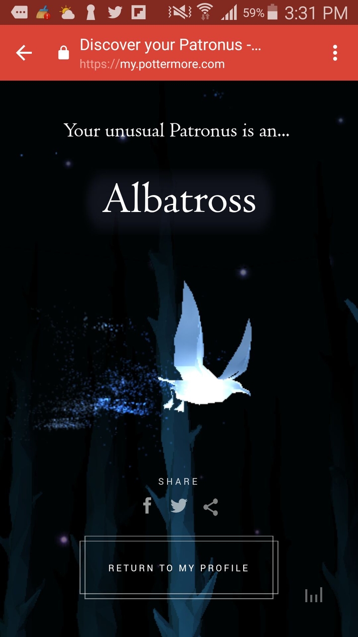 albatross