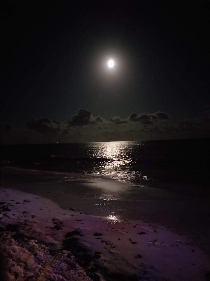 Full moon