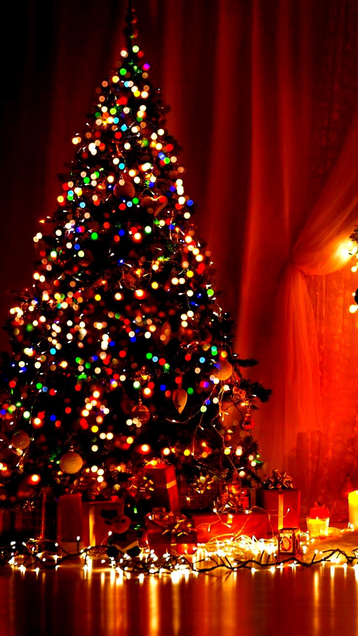 ♥️ Christmas  Forever