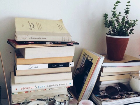 обои book, furniture