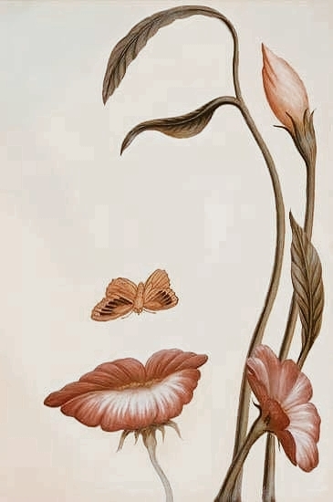flor