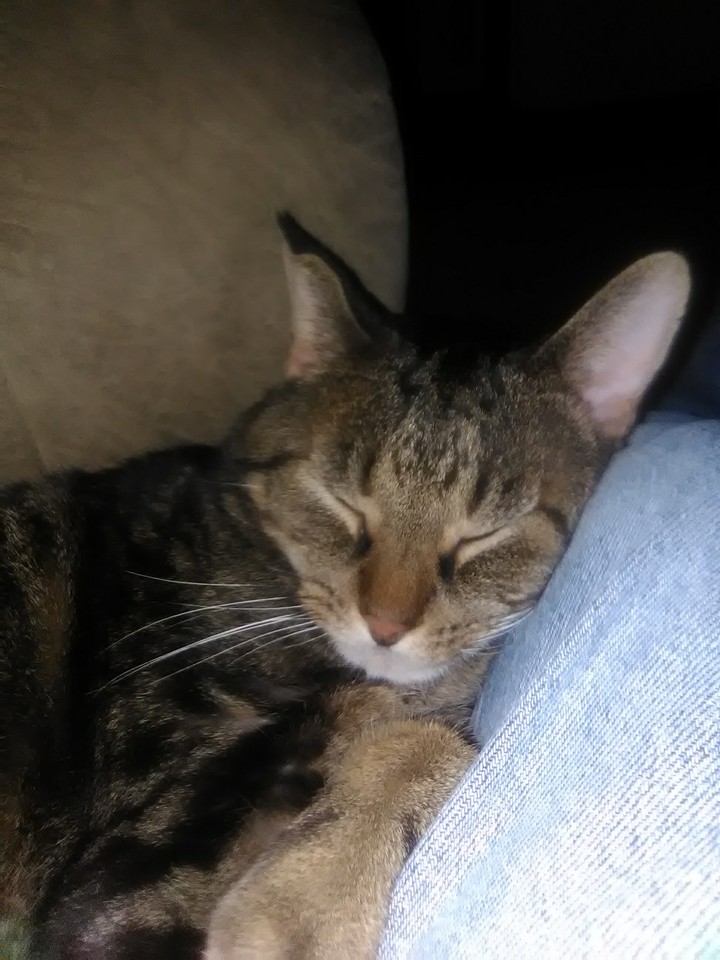 comfortable