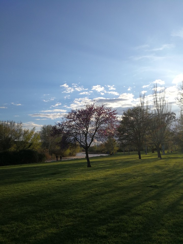 Park