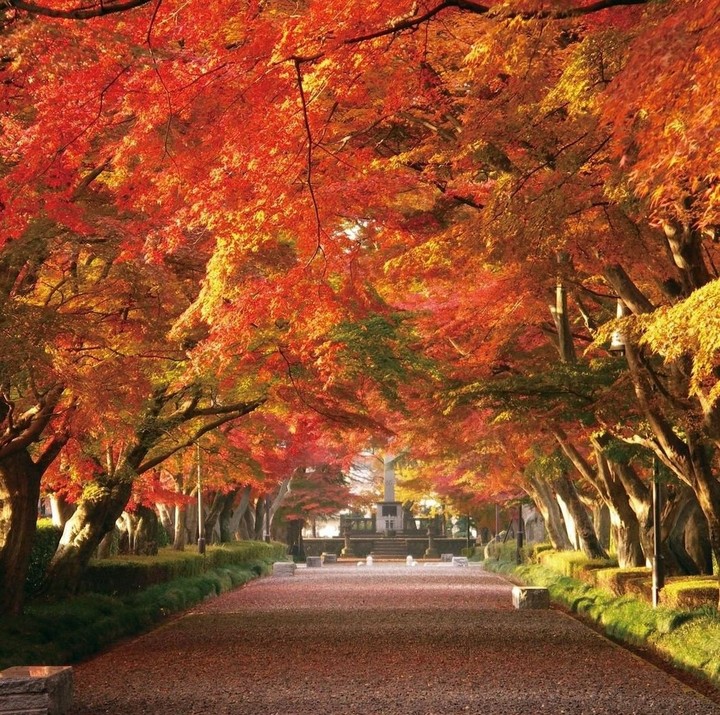 紅葉が綺麗！！
