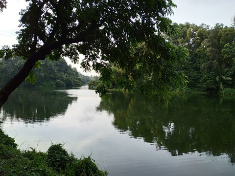 Foyez Lake