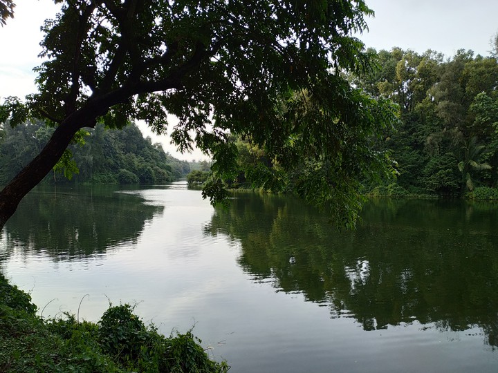 Foyez Lake