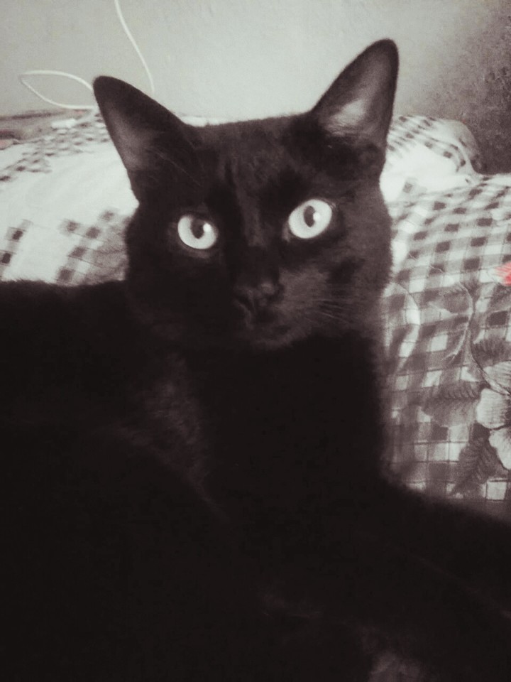 Black Soul 