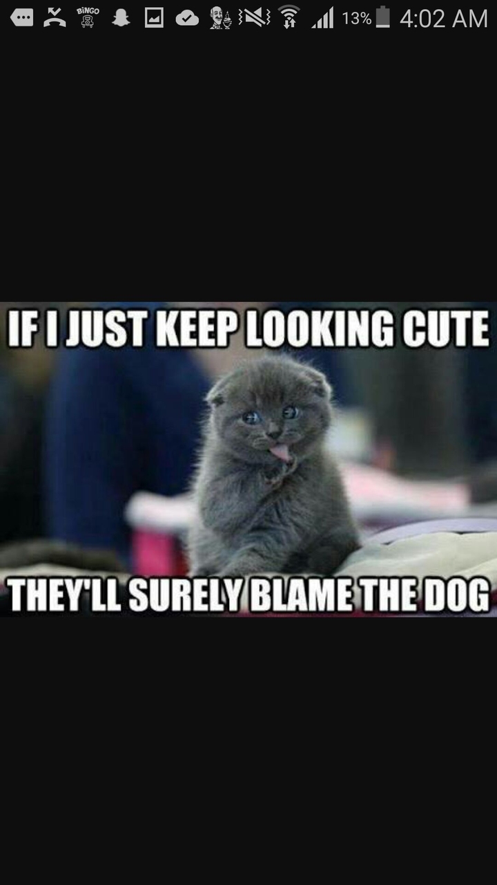 really cute