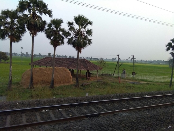 village nature