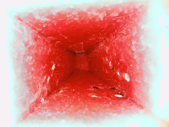 Watermelon?