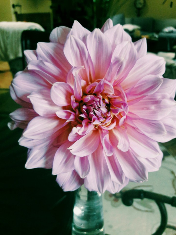 beautiful