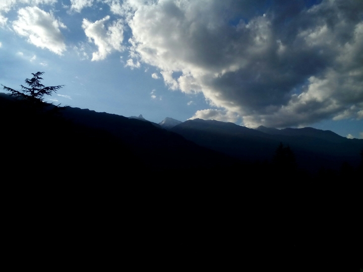 nature :calming our minds