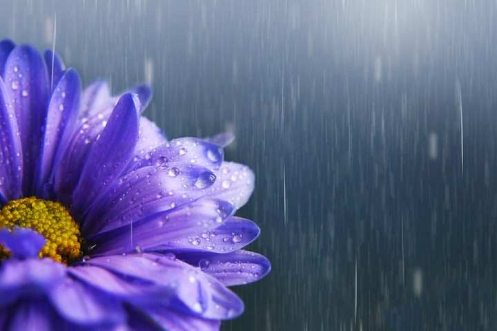 Summer rain