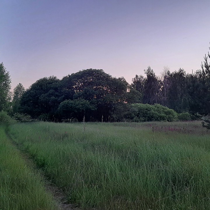 безмятежность