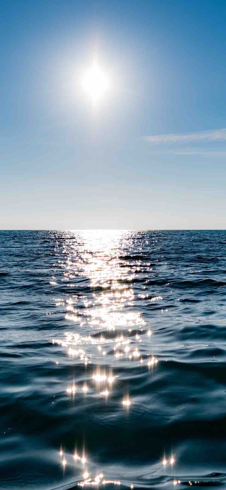 sun &sea
