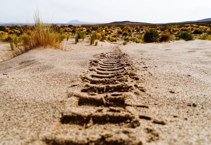 Dakar 2018