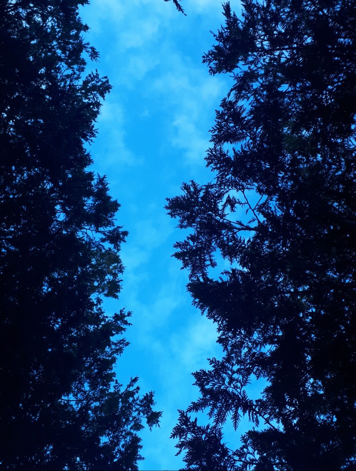 evening sky