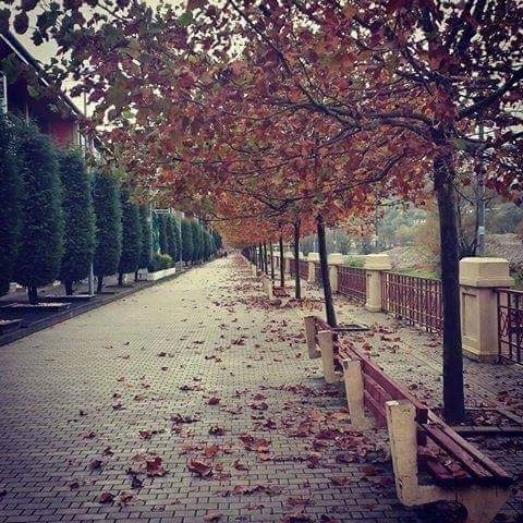 September