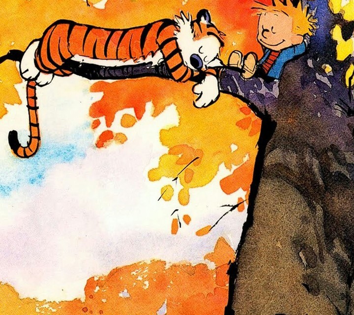 Calvin and Hobbes