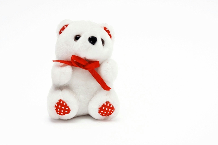 bear