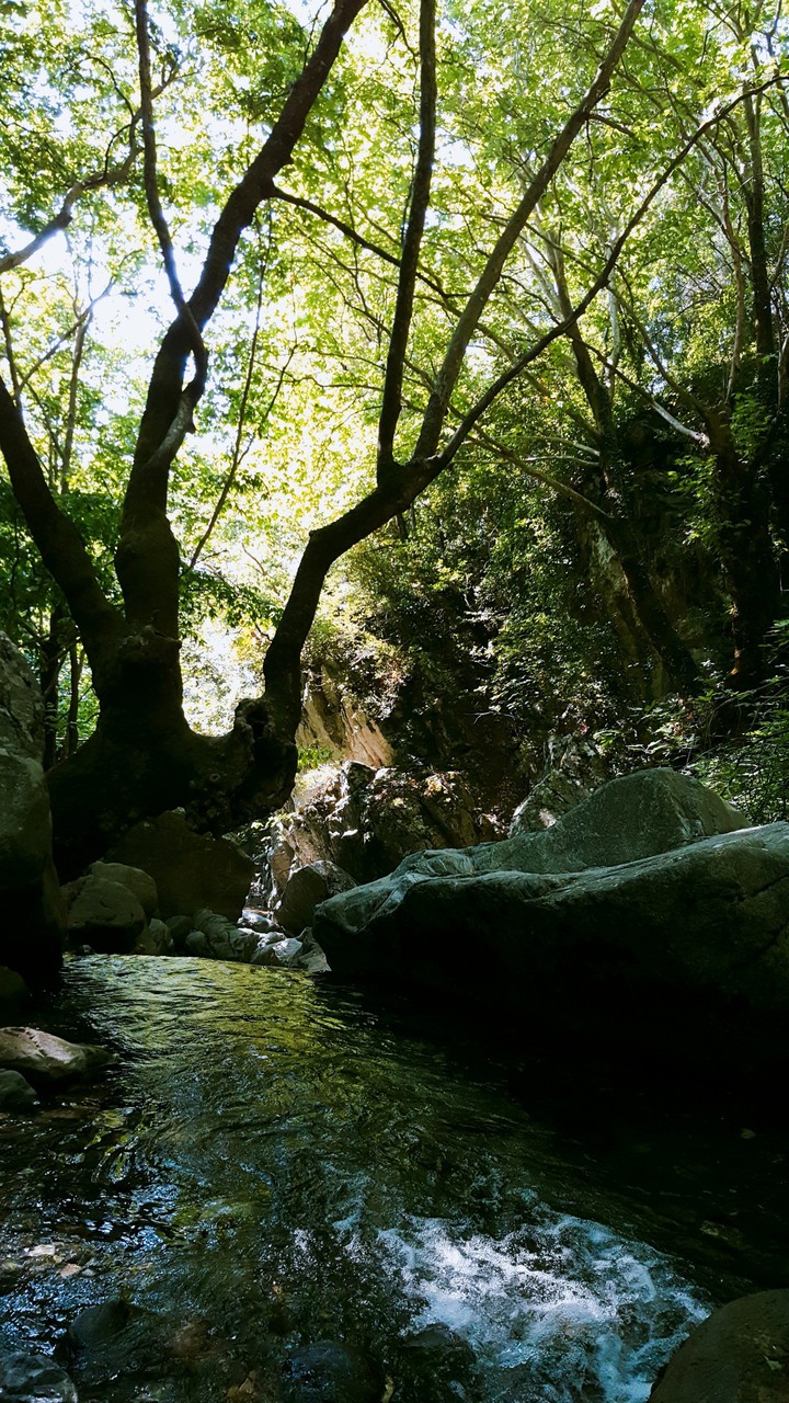 waterfall