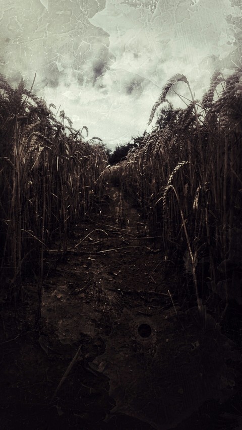 Devastated territory