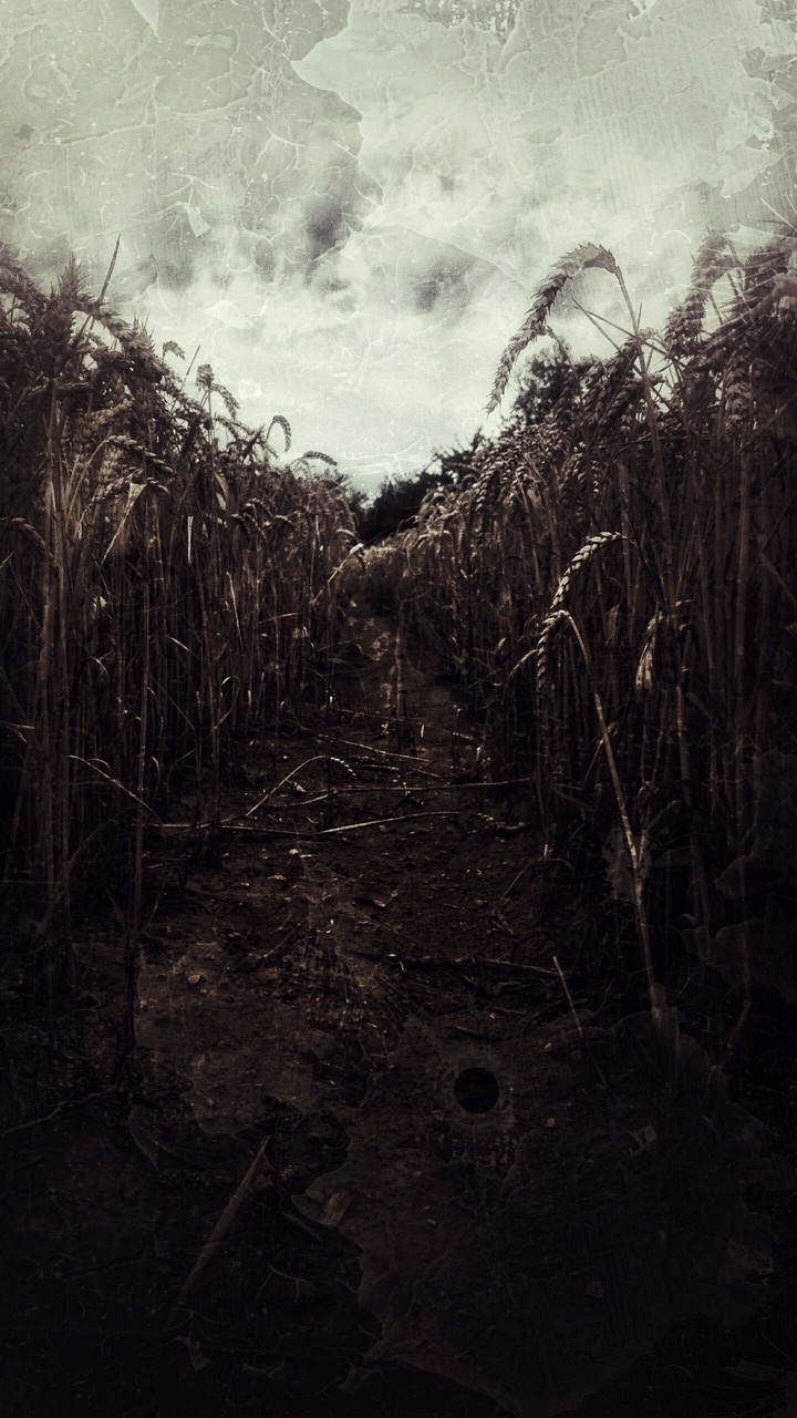 Devastated territory
