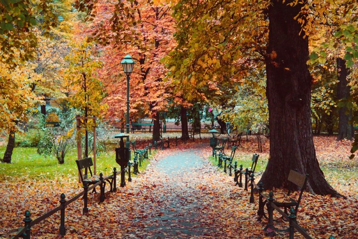 Polish autumn in Cracow