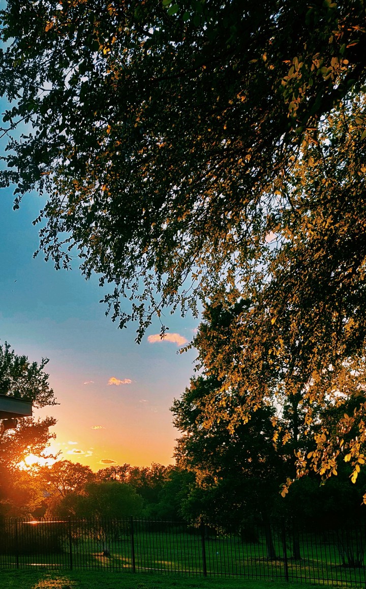 Evening Sunsets