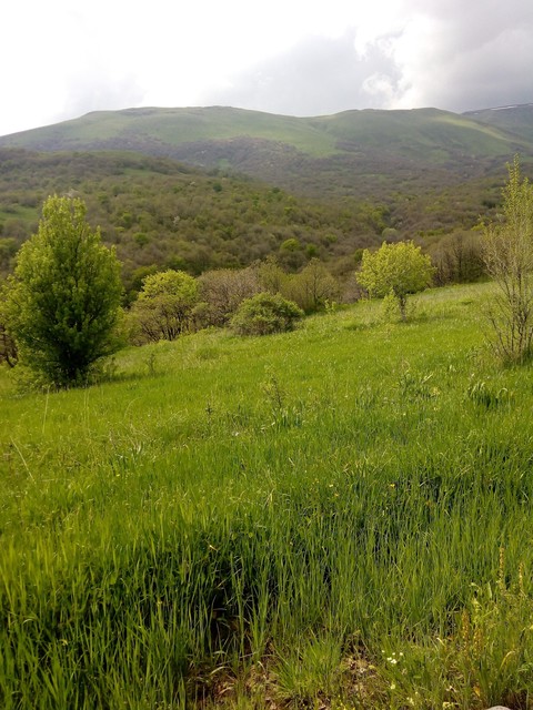 In Armenia