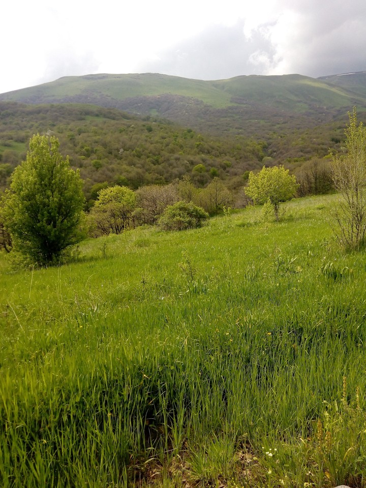 In Armenia