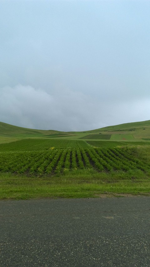 тапети agriculture, ecosystem