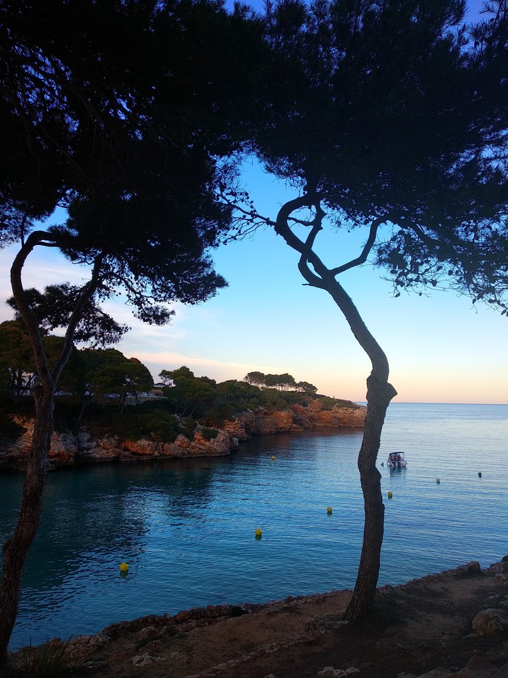 Cala D'OR